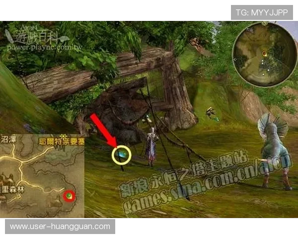 澳门财神在线游戏攻略大全，帮助新手快速掌握游戏技巧实现高效盈利